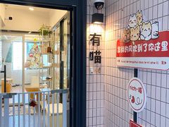 -有喵·猫咖·狗咖·30几只猫10只小狗(岗厦店)