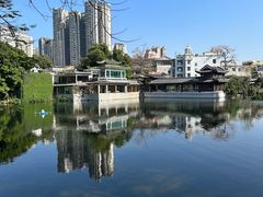 -荔湾湖公园