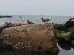 -海驴岛(荣成市)
