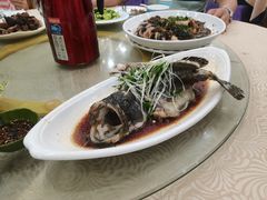 老虎斑-湛江渔港·大排档(乐园路总店)
