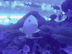 -成都浩海立方海洋公园