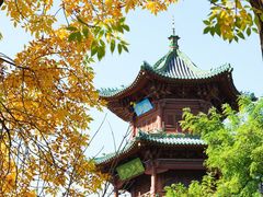 -迎泽公园
