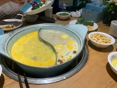 -青瓷火锅料理(西单大悦城店)