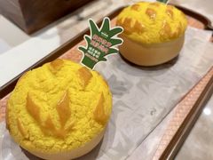 -羽鸽集·乳鸽专门店·地道顺德菜(岭南站店)