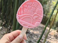 -成都大熊猫繁育研究基地