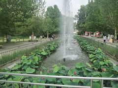 -朝阳公园游乐园