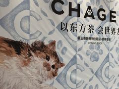 -上海长风大悦城