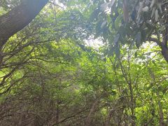 -杭州半山国家森林公园