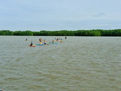 -上海海湾国家森林公园