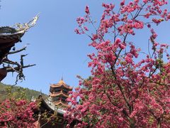 -西昌邛海湿地