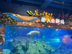 -太奥幻太奇海洋馆