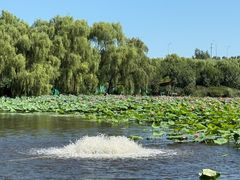 -东郊湿地公园