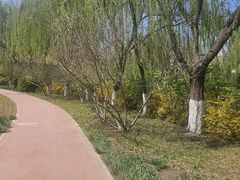 -南翠屏公园