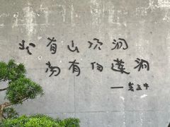 -柳州白莲洞洞穴科学博物馆