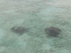 -卡帕莱度假村(西巴丹岛)