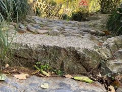 -西湖游船