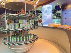 -TD66高山铁皮石斛养生茶饮
