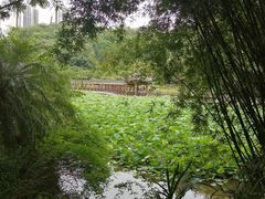 -龙头寺公园
