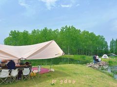 -合肥滨湖国家森林公园