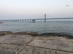-星海广场