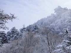 -华山风景名胜区