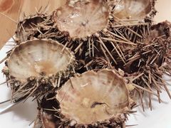 -海胆小馆(东北水饺·春柳店)