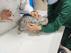 -派特宠物医院(海岸城店)