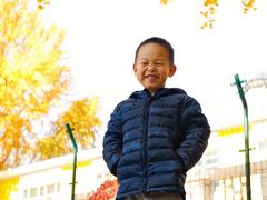 -三里屯东五街银杏大道