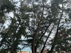 -亚龙湾中心广场