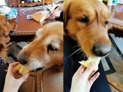 -皇后西斯汀饼店(文化路店)