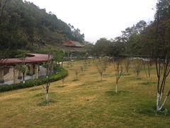 -神光山国家森林公园