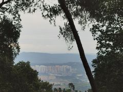 -大金鹰园