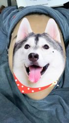 -索菲医疗整形美容