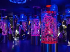 -贝林大翅鲸简餐厅(国家海洋博物馆店)