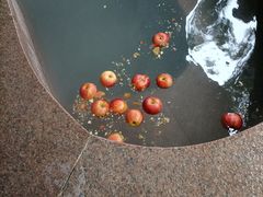 -南宫温泉水世界