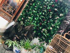 -丽江庭院·云南野生菌·海鲜火锅(鼓楼四合院店)