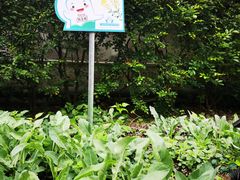 -广州神农草堂中医药博物馆