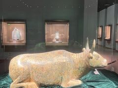 -宁夏博物馆