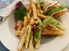 -Fern Forest Cafe