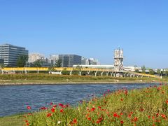-春花秋色城市公园