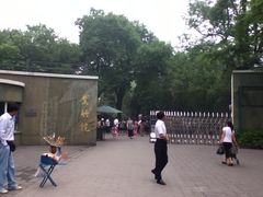 -紫竹院公园冰场
