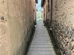 -杨家堂村