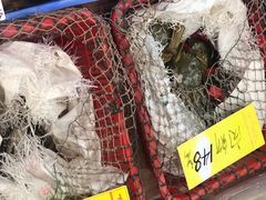 -华源餐厅·海鲜大排档(日月贝店)