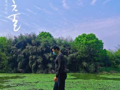 -艾溪湖湿地公园