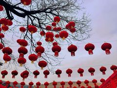 -八大处公园