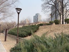 -元大都城垣遗址公园