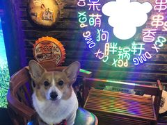 -胖锅轩(水塔店)