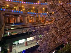 -上海南浦大桥长途旅游客运站