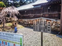 -北海道神宫
