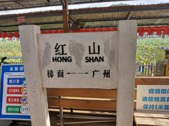 -红山村